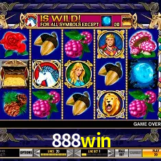 888win